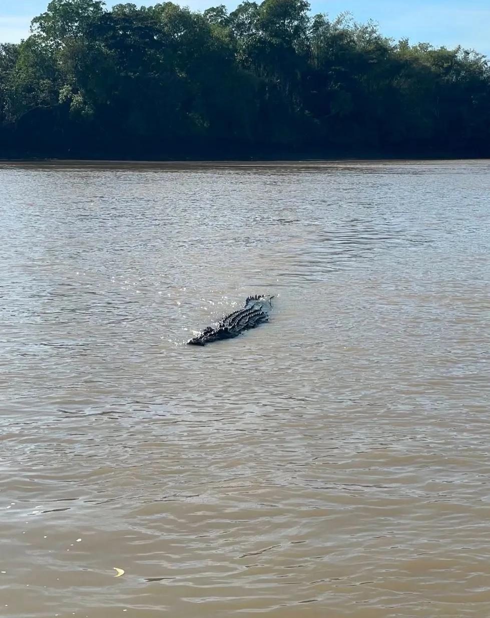 Harry Crowder | Do Jumping Crocodile Cruises Change Crocodile Behaviour? Adelaide River’s Croc Appeal