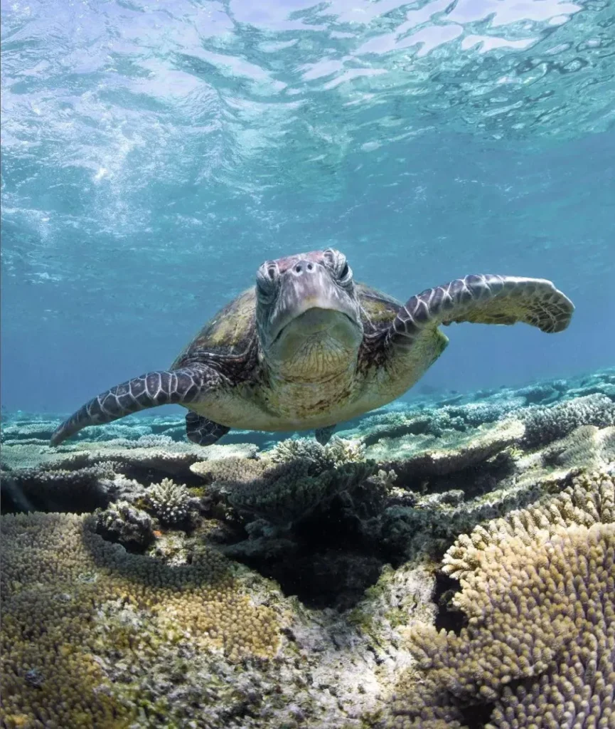 Ningaloo Coast