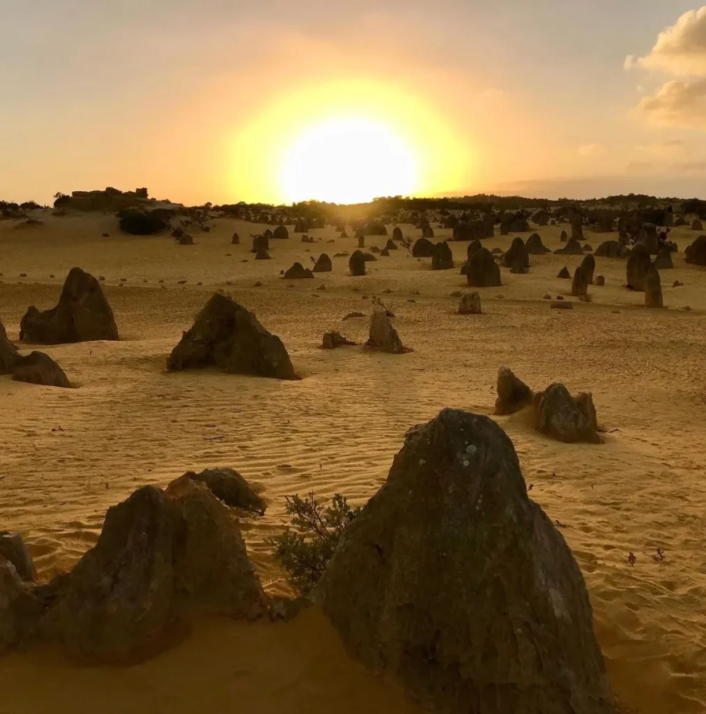 Pinnacles Desert Discovery Centre