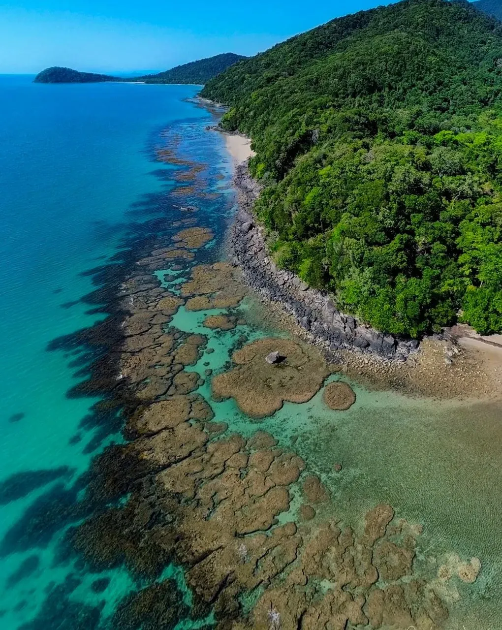 Harry Crowder | GBR vs Bali: How to Choose the Best Tropical Escape for Your Next Holiday The Great Barrier Reef