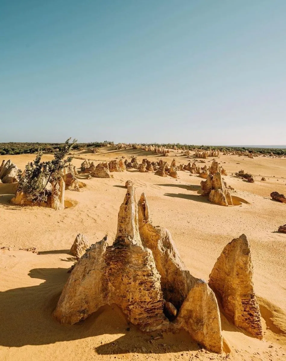 The Pinnacles' Ancient Origins