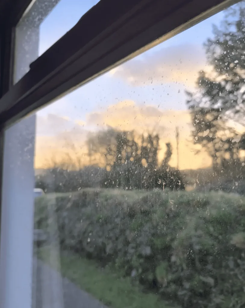 Why Eco-Friendly Window Cleaning