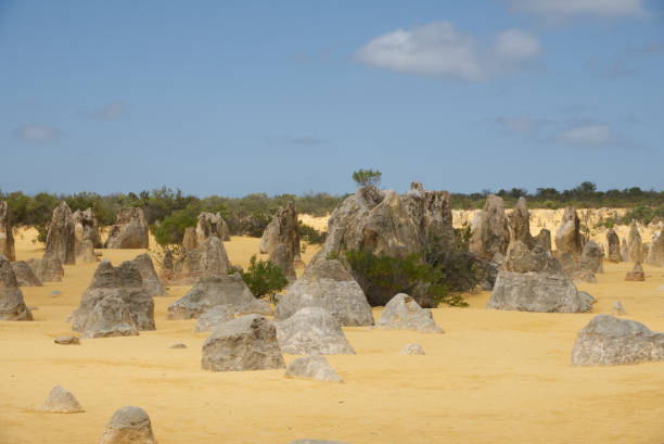 Harry Crowder | Discover the Majestic Deserts of Australia: A Guide to the Outback's Wonders