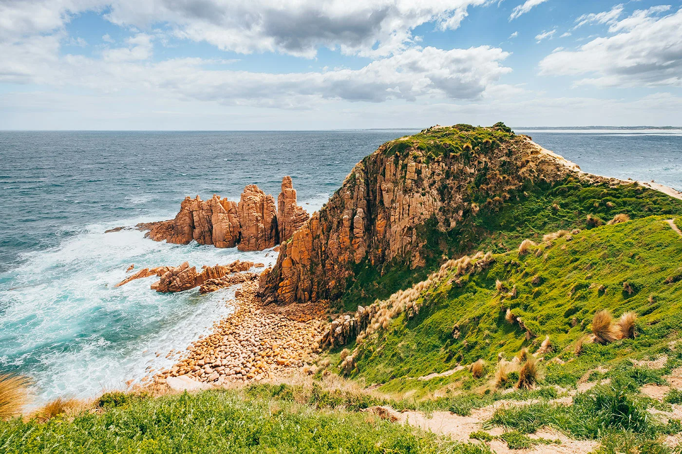 Harry Crowder | "Ultimate Guide to Phillip Island: Activities, Attractions & Wildlife Adventures"