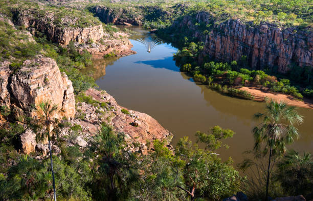 Harry Crowder | Top 10 Adventures in Katherine, NT: Explore Gorges, Culture & Springs